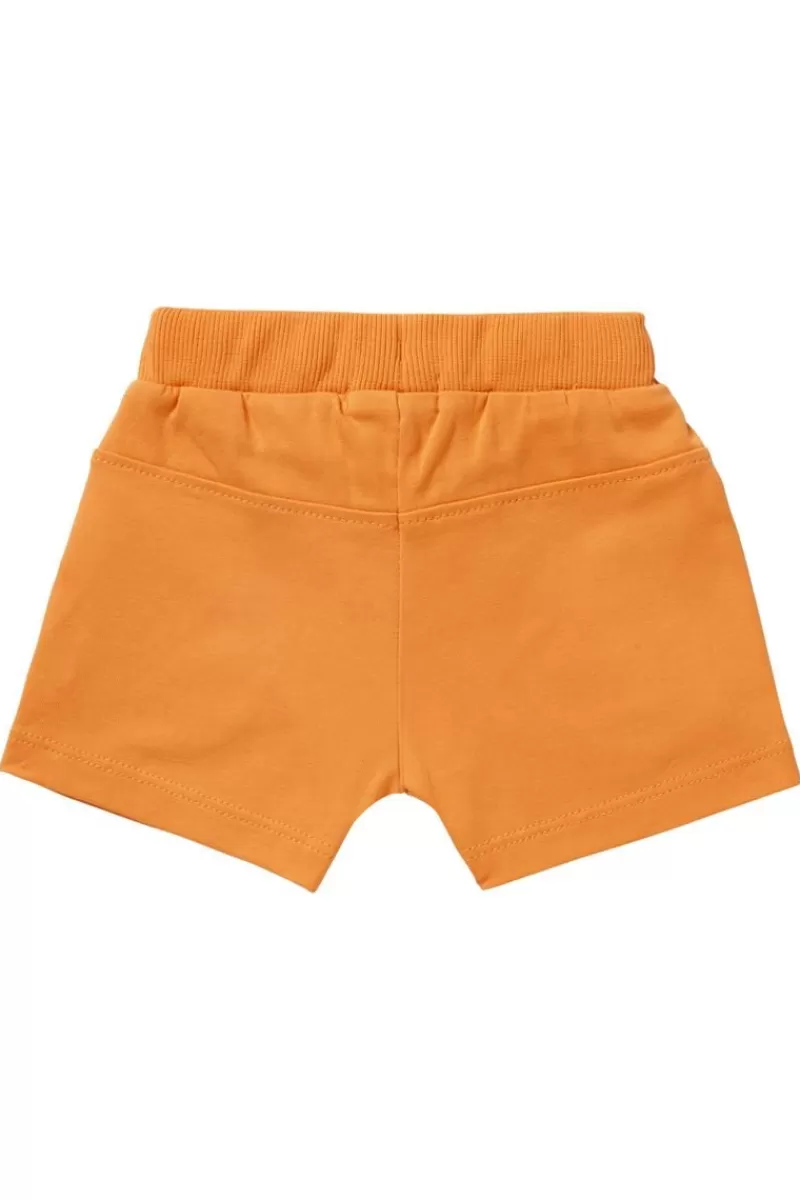 Noppies Shorts-Shorts Branch -