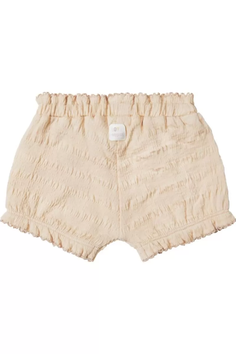 Noppies Shorts-Shorts Caldwell -