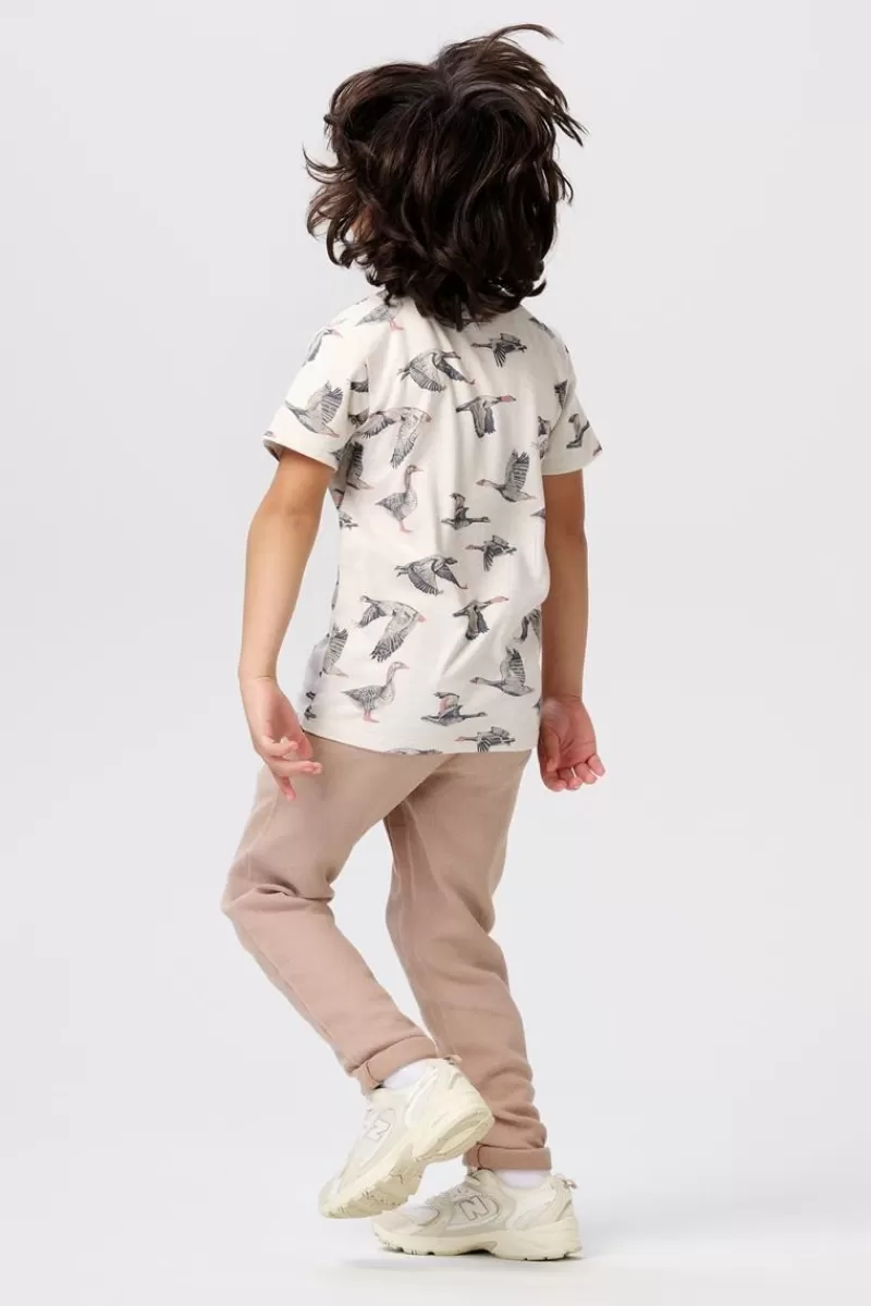 Kinder Noppies Shirts-T-shirt Dierks -